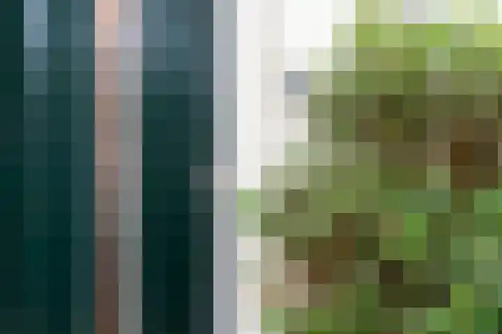 Karnemelksloot 177 Gouda thumbnail 6