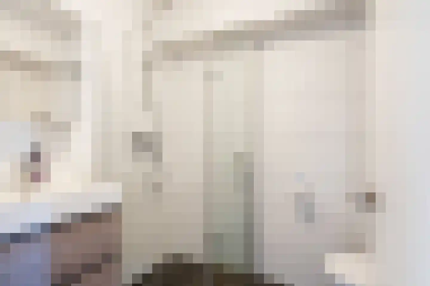 Karnemelksloot 33 e Gouda thumbnail 17