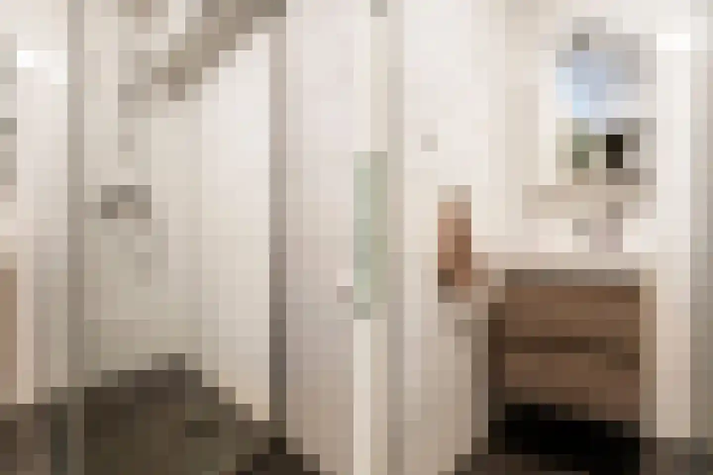 Karnemelksloot 33 e Gouda thumbnail 18