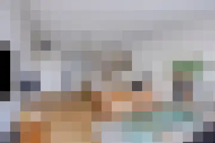 Karnemelksloot 35 Gouda thumbnail 10