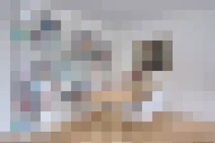 Karnemelksloot 35 Gouda thumbnail 11