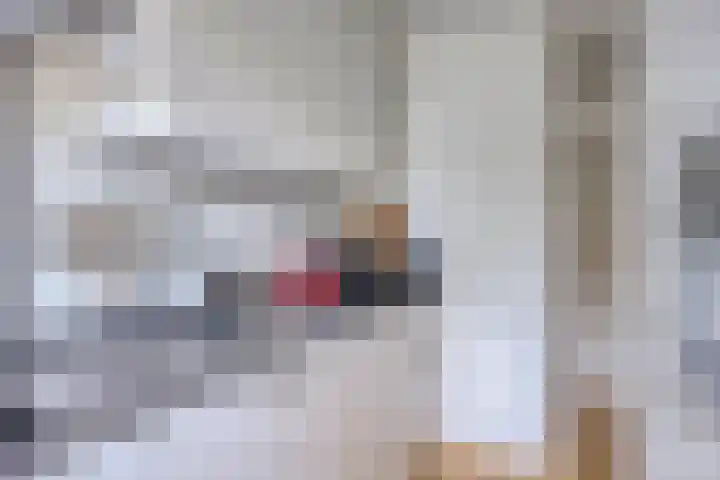Karnemelksloot 35 Gouda thumbnail 14