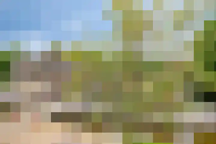 Karnemelksloot 35 Gouda thumbnail 18