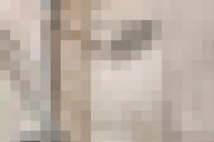Karnemelksloot 35 Gouda thumbnail 20