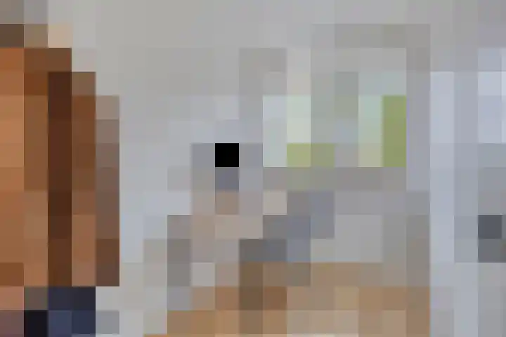 Karnemelksloot 35 Gouda thumbnail 21