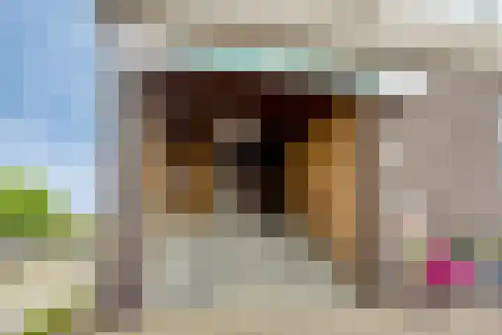 Karnemelksloot 35 Gouda thumbnail 22