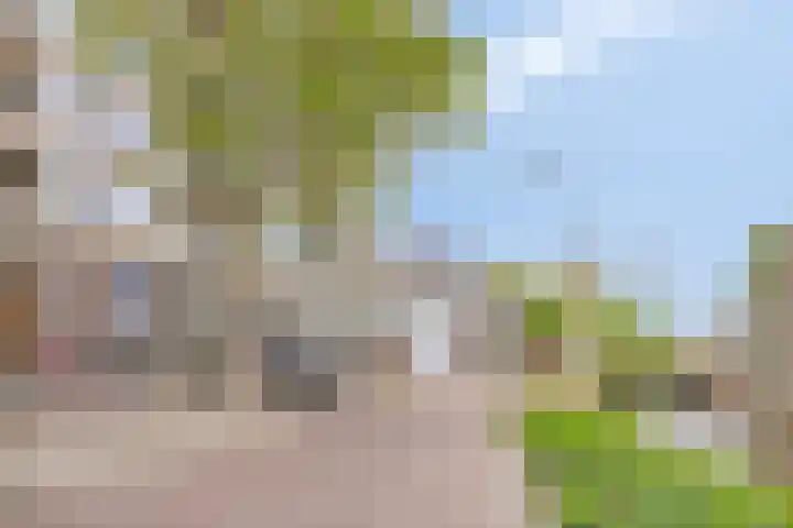 Karnemelksloot 35 Gouda thumbnail 25