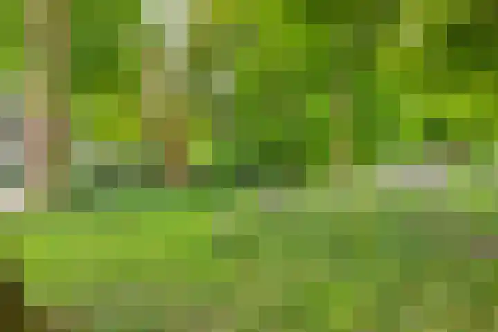 Karnemelksloot 35 Gouda thumbnail 31