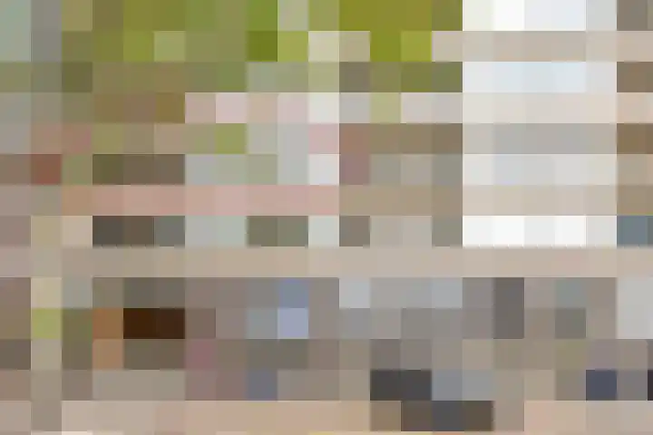 Karnemelksloot 35 Gouda thumbnail 5