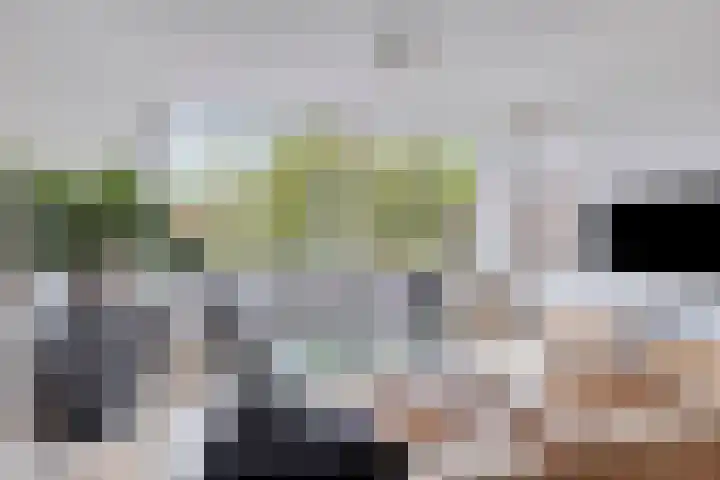 Karnemelksloot 35 Gouda thumbnail 9