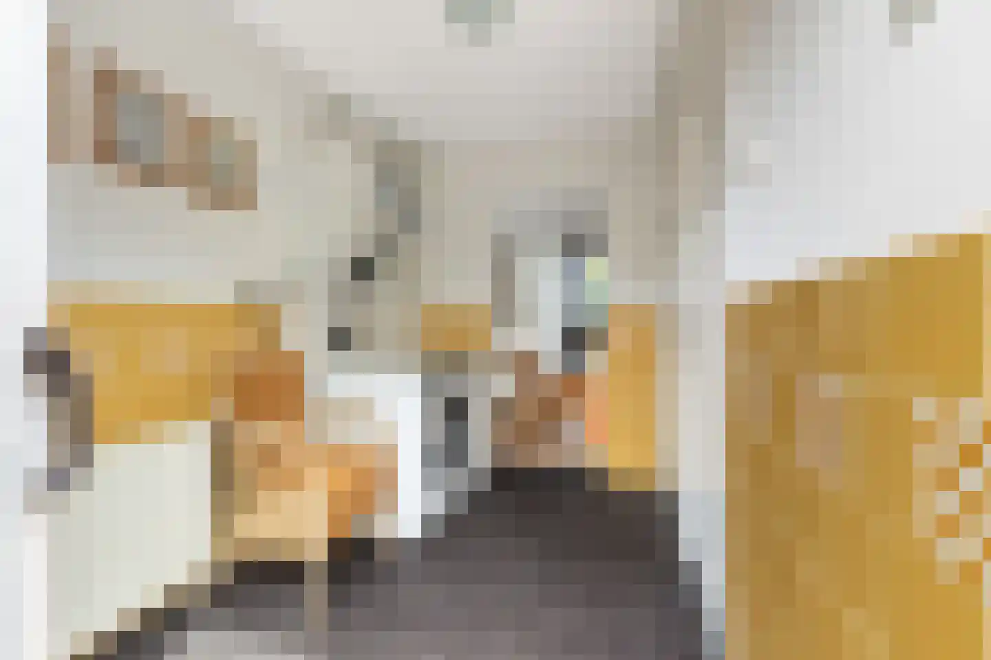 Karnemelksloot 38 Gouda thumbnail 21