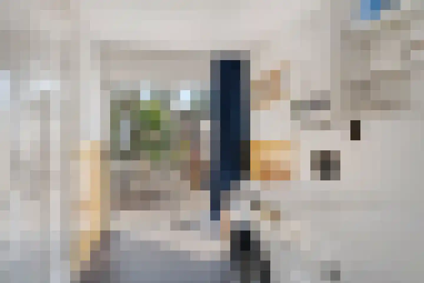 Karnemelksloot 38 Gouda thumbnail 21