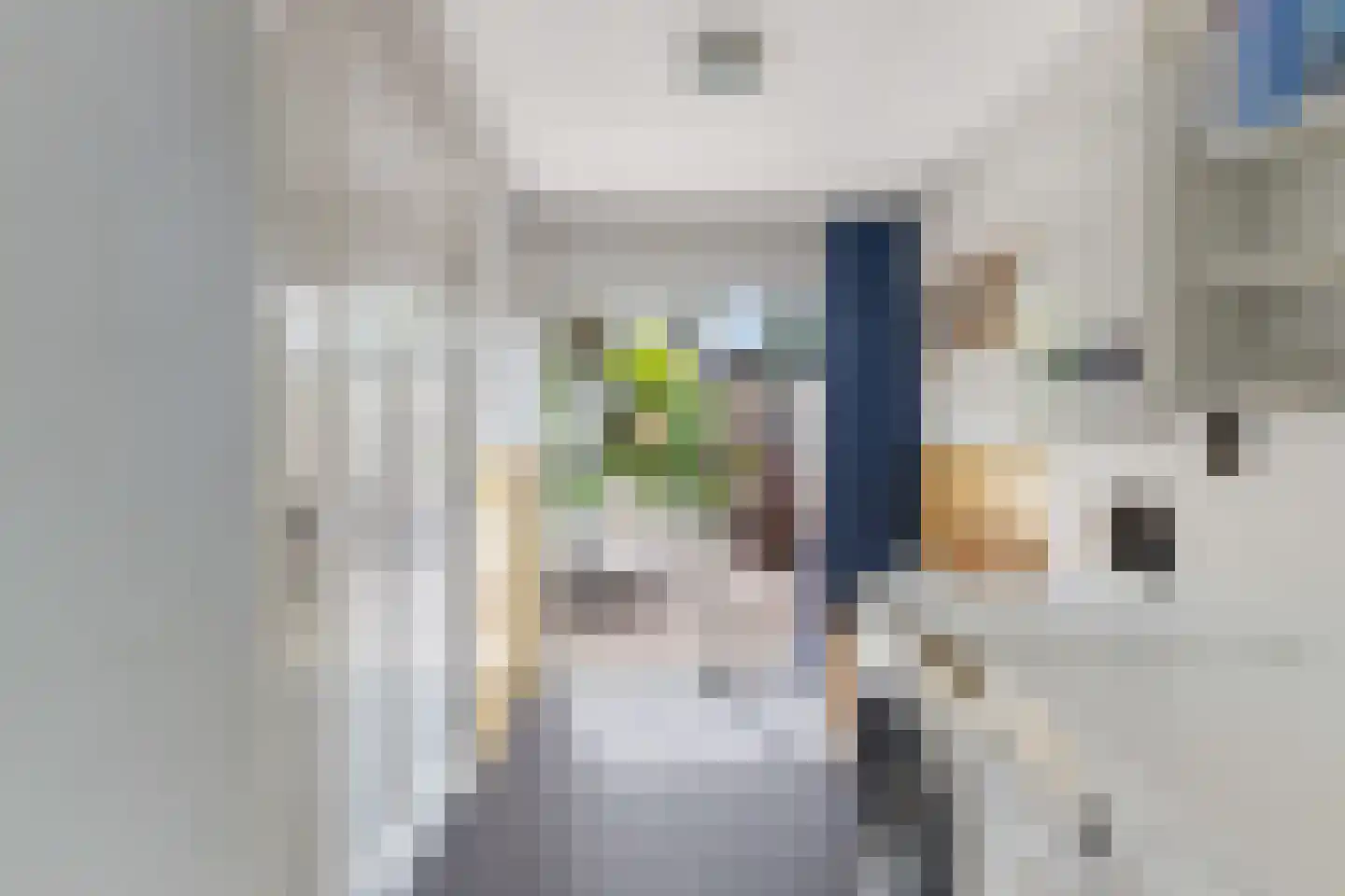 Karnemelksloot 38 Gouda thumbnail 22