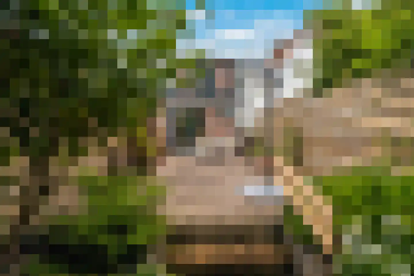 Karnemelksloot 38 Gouda thumbnail 28