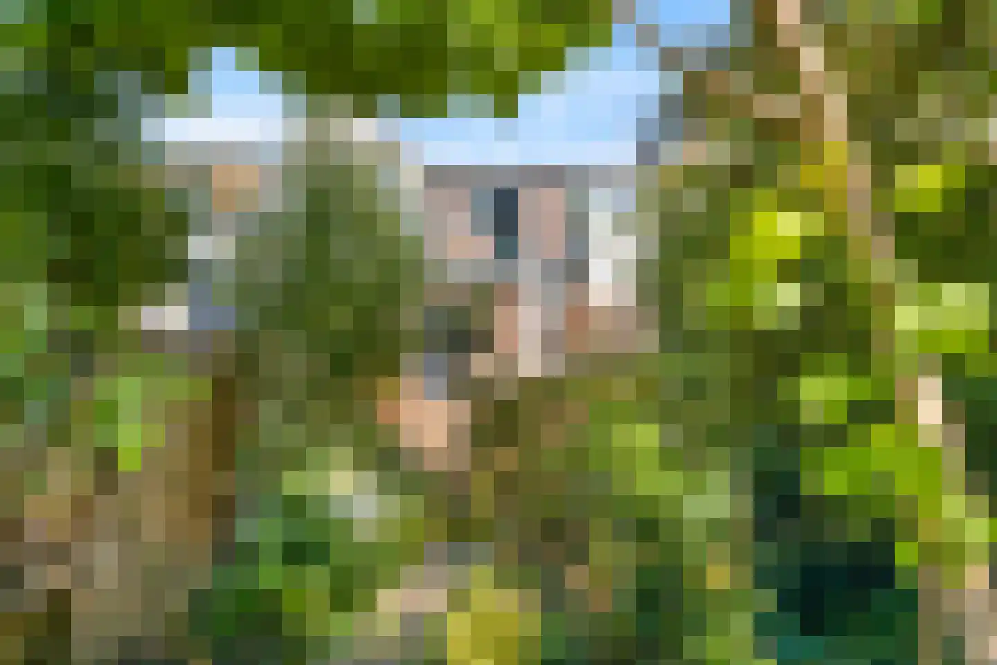 Karnemelksloot 38 Gouda thumbnail 30