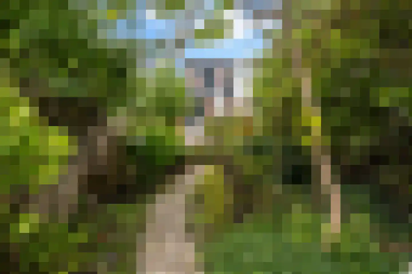 Karnemelksloot 38 Gouda thumbnail 30