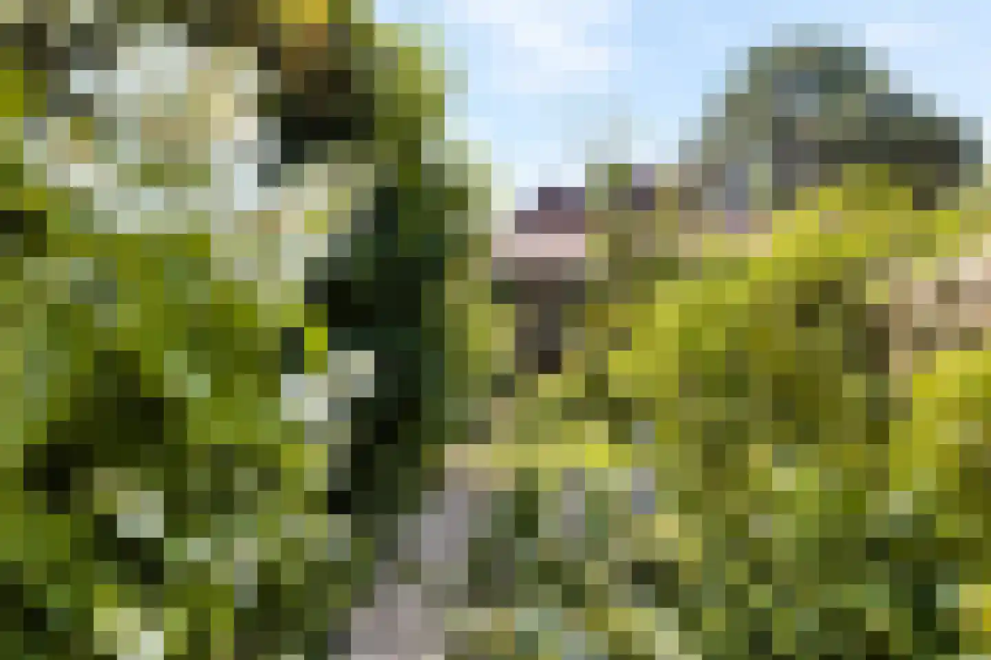 Karnemelksloot 38 Gouda thumbnail 33
