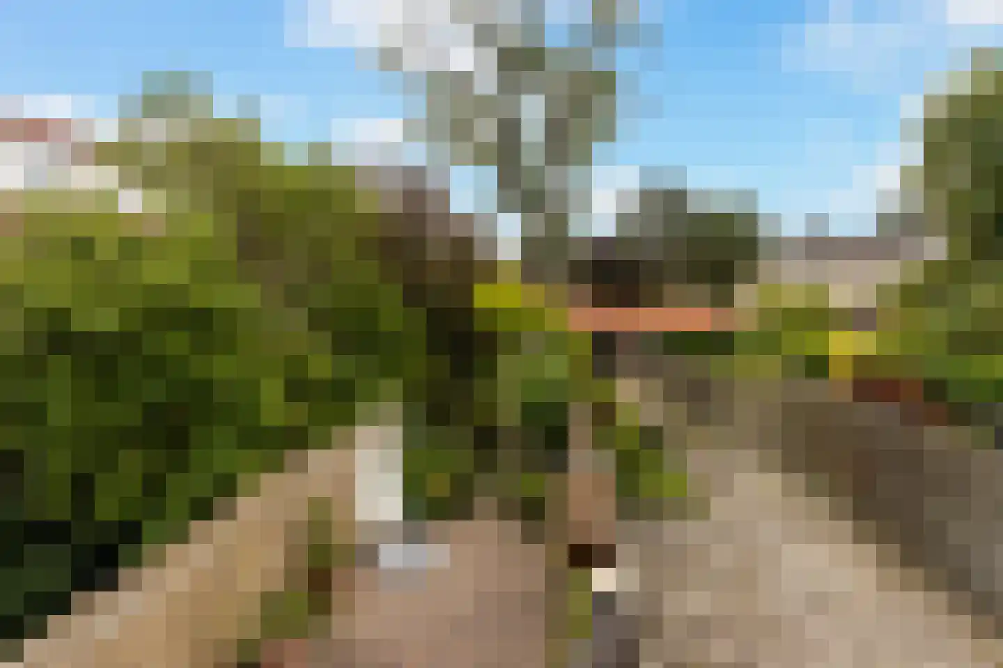 Karnemelksloot 38 Gouda thumbnail 34