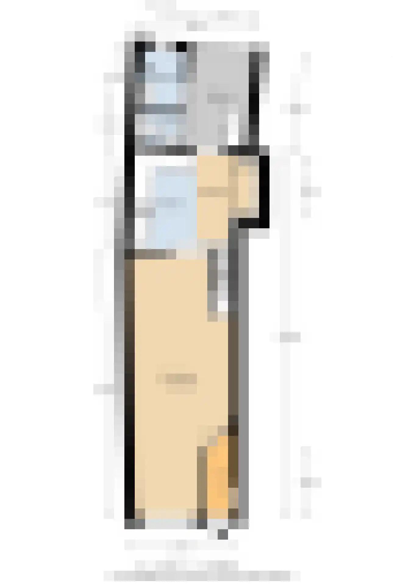 Karnemelksloot 38 Gouda thumbnail 50