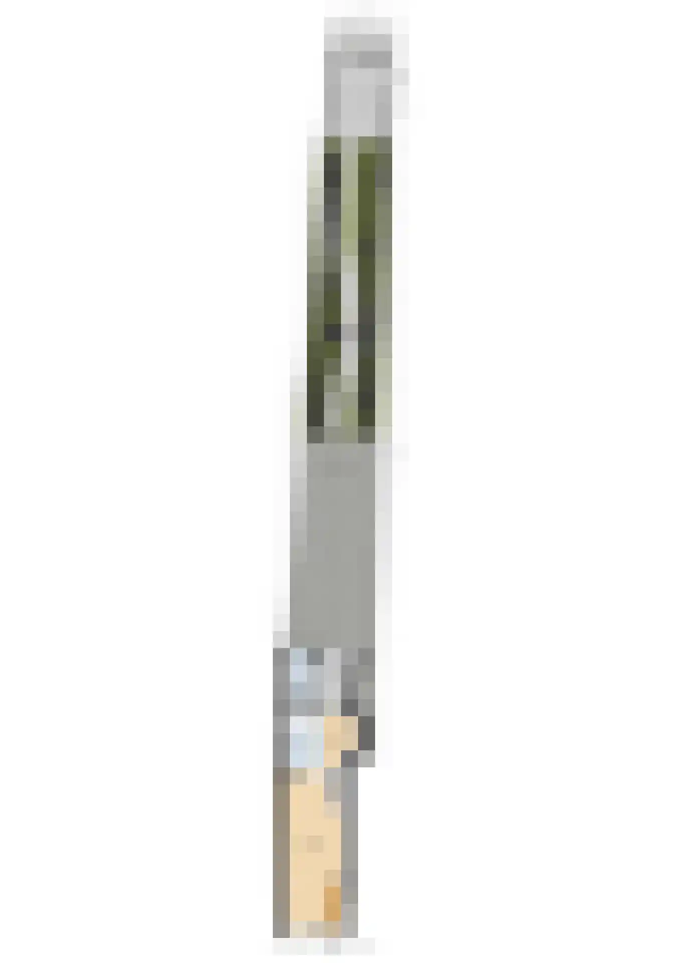 Karnemelksloot 38 Gouda thumbnail 53