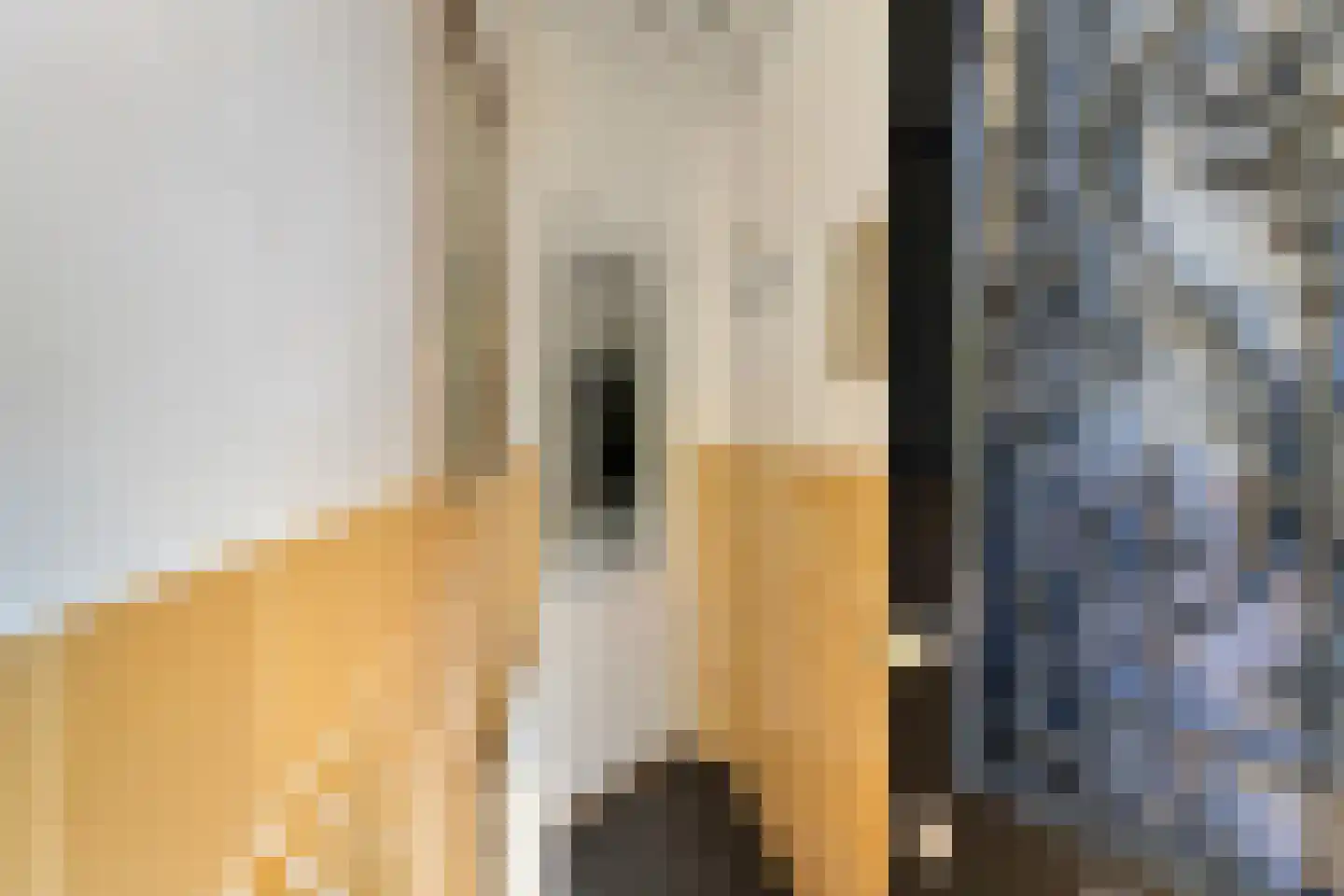 Karnemelksloot 38 Gouda thumbnail 8