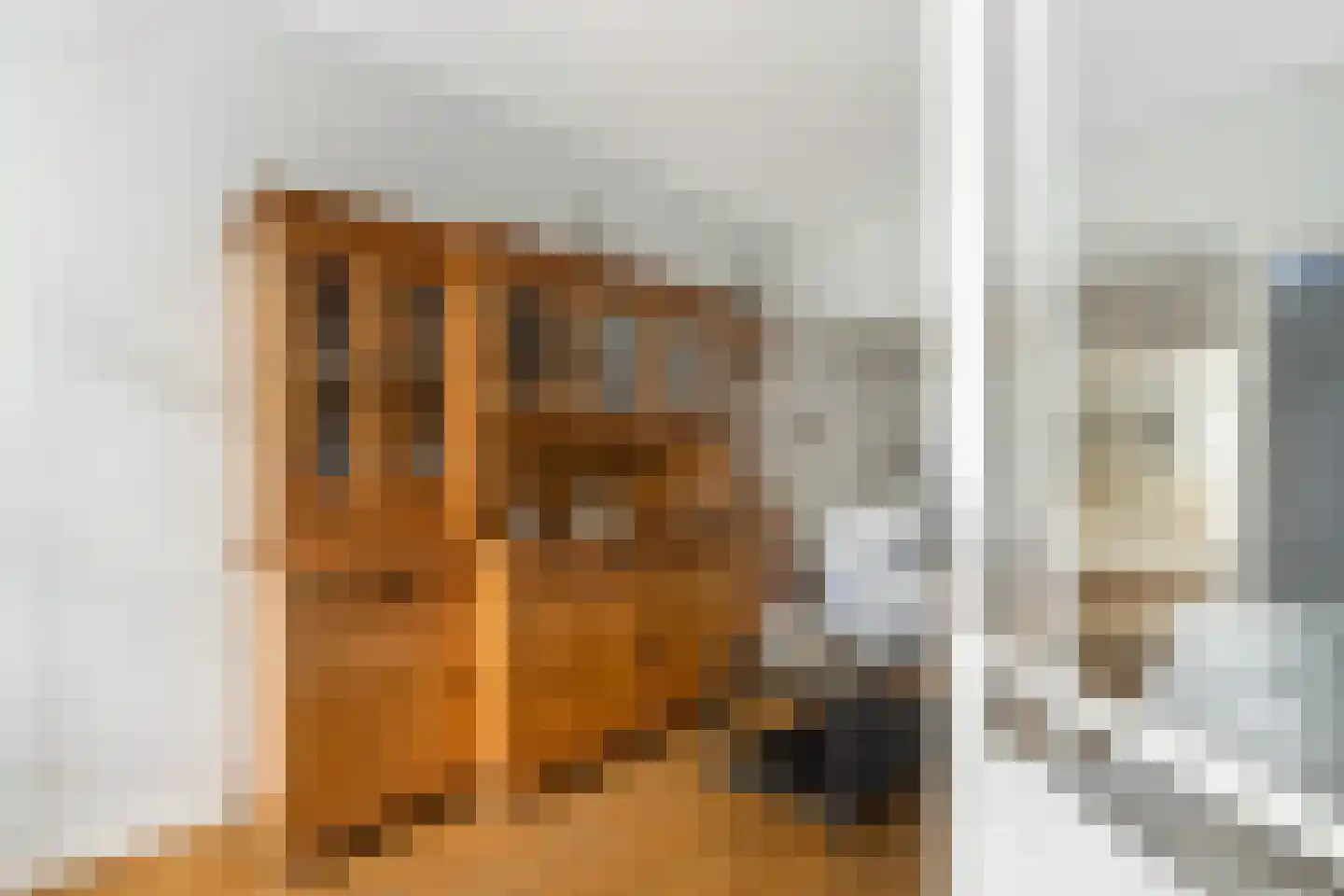 Karnemelksloot 38 Gouda thumbnail 9