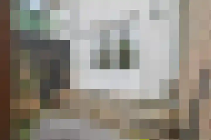 Karnemelksloot 42 Gouda thumbnail 17