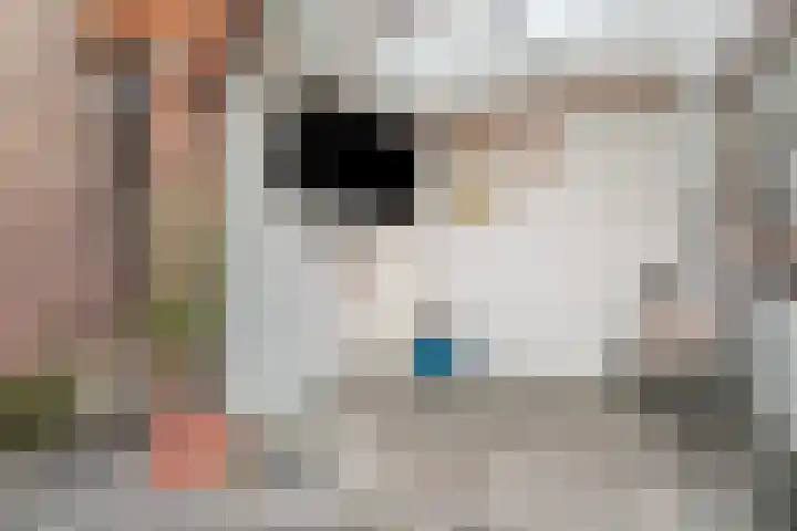 Karnemelksloot 42 Gouda thumbnail 18