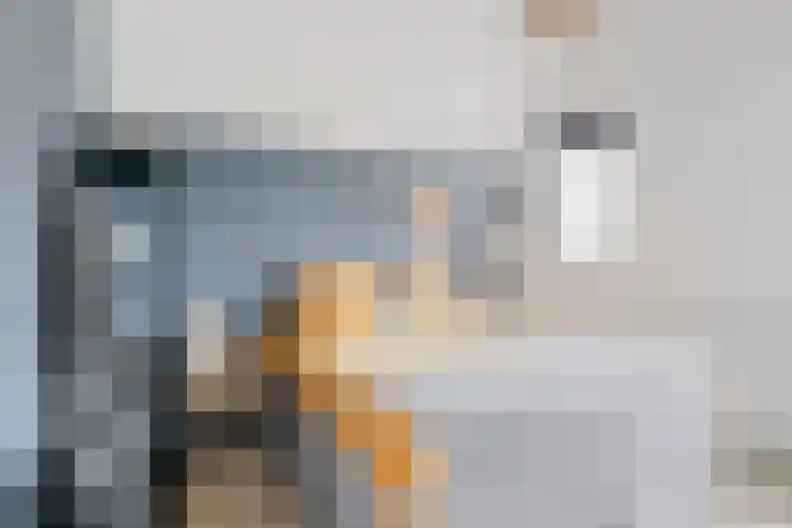 Karnemelksloot 42 Gouda thumbnail 22
