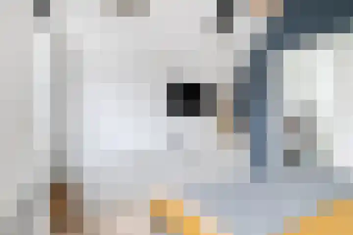 Karnemelksloot 42 Gouda thumbnail 23