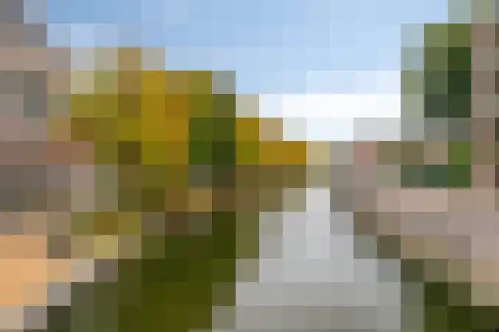 Karnemelksloot 42 Gouda thumbnail 30