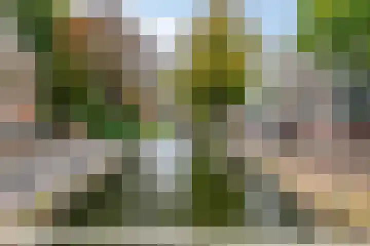 Karnemelksloot 42 Gouda thumbnail 31