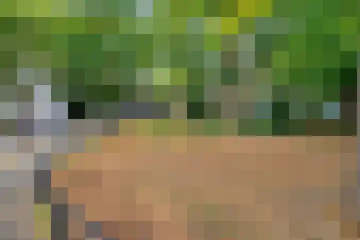 Karnemelksloot 42 Gouda thumbnail 32