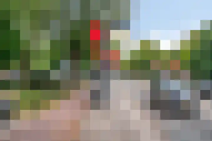 Karnemelksloot 42 Gouda thumbnail 33