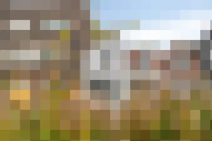 Karnemelksloot 42 Gouda thumbnail 8