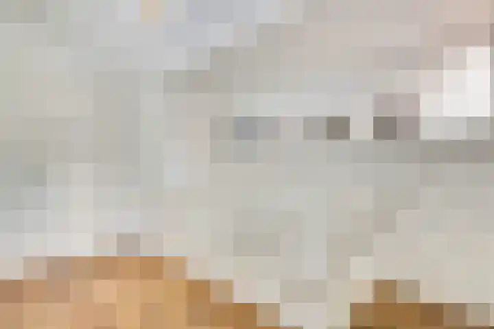 Karnemelksloot 6 Gouda thumbnail 18