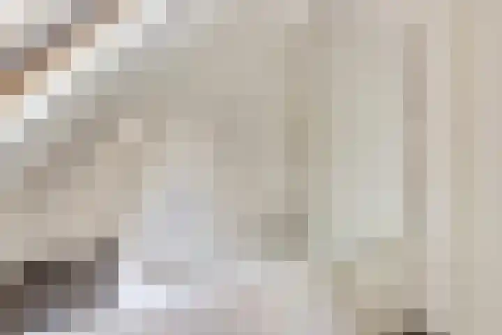 Karnemelksloot 6 Gouda thumbnail 20