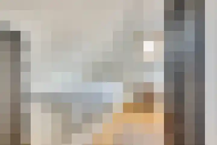 Karnemelksloot 6 Gouda thumbnail 25
