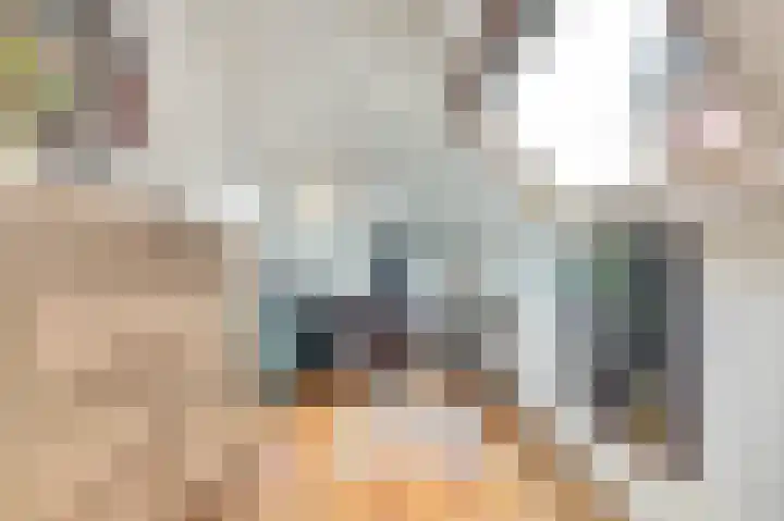 Karnemelksloot 6 Gouda thumbnail 27