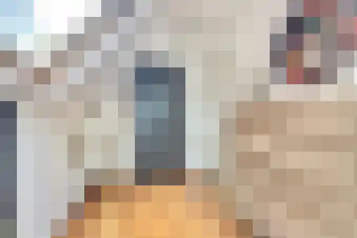 Karnemelksloot 6 Gouda thumbnail 28