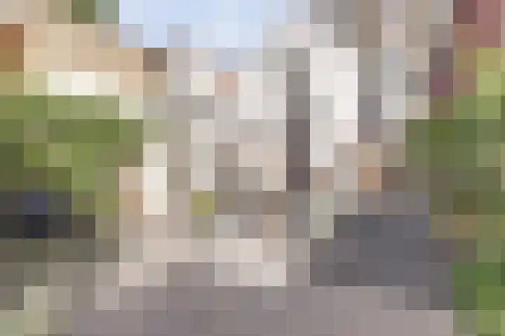 Karnemelksloot 6 Gouda thumbnail 30