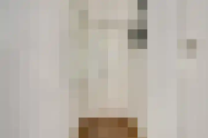 Karnemelksloot 6 Gouda thumbnail 7