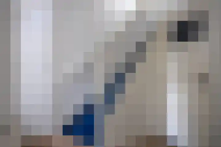 Karnemelksloot 94 Gouda thumbnail 11