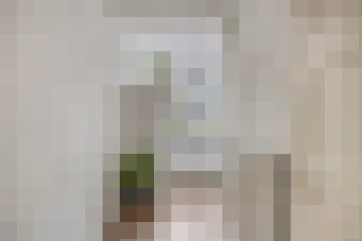 Karnemelksloot 94 Gouda thumbnail 12