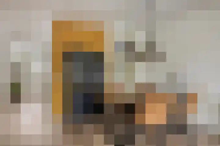 Karnemelksloot 94 Gouda thumbnail 18