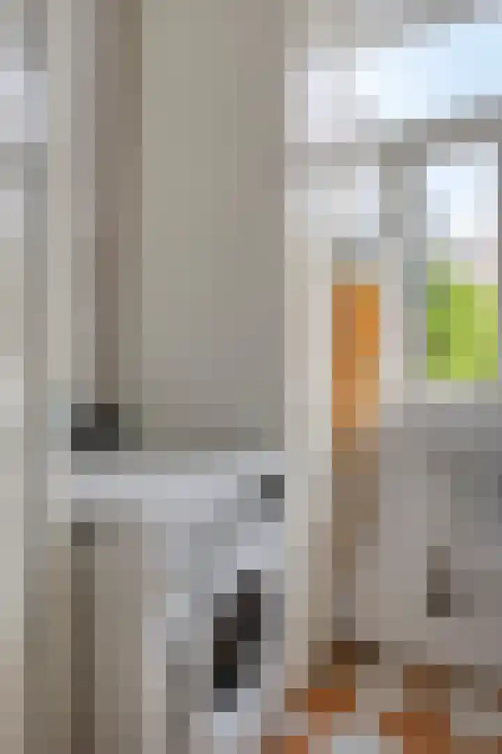 Karnemelksloot 94 Gouda thumbnail 19