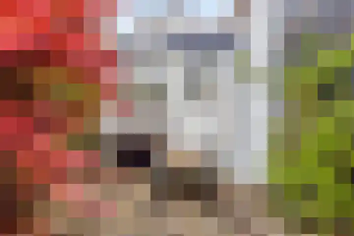 Karnemelksloot 94 Gouda thumbnail 20