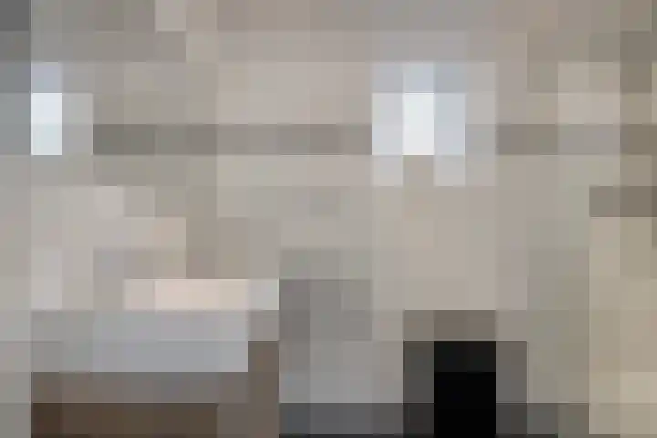 Karnemelksloot 94 Gouda thumbnail 4