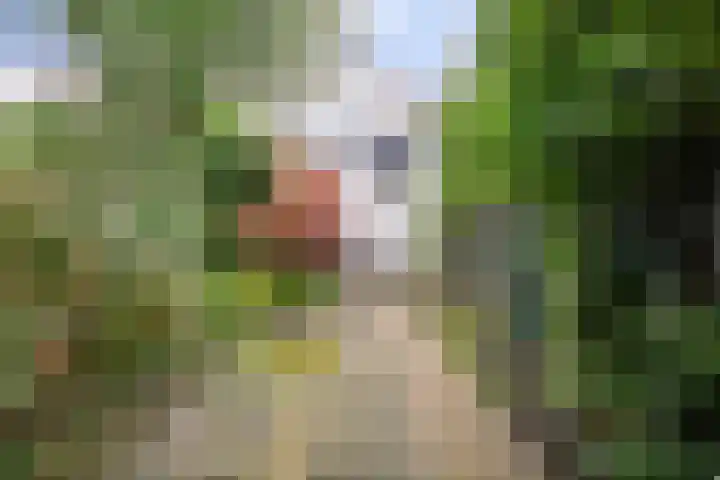 Karnemelksloot 94 Gouda thumbnail 5
