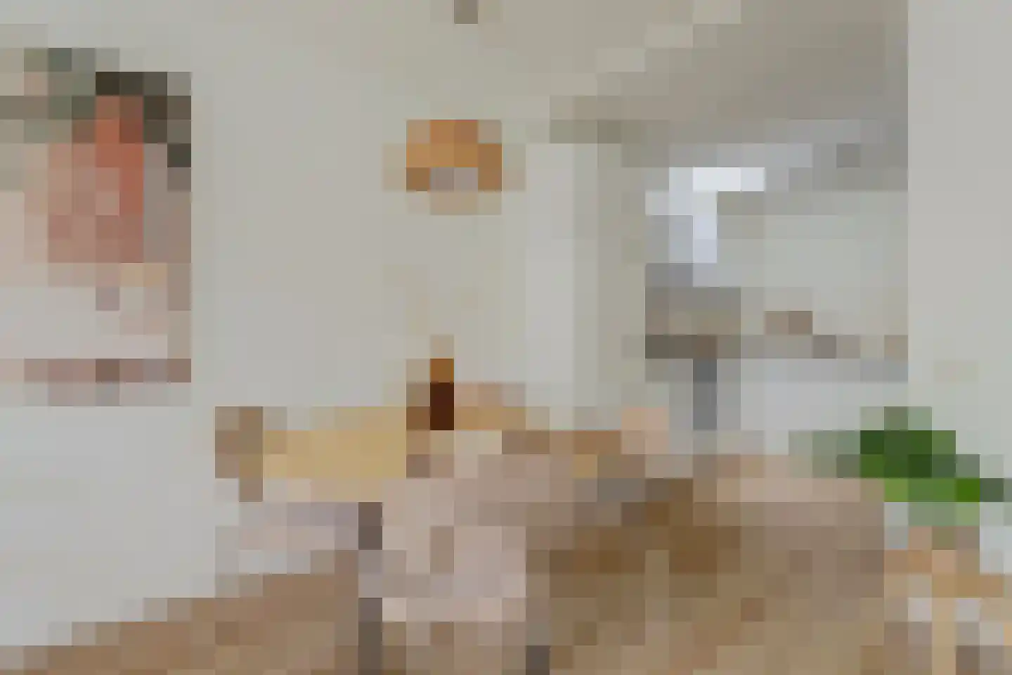 Karnemelksloot 96 Gouda thumbnail 15
